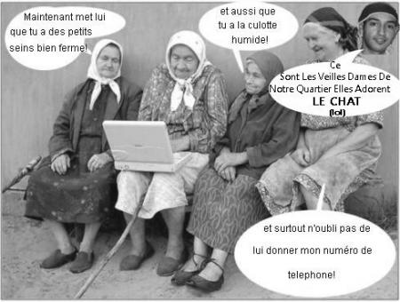 Les Conséquences Du CHAT